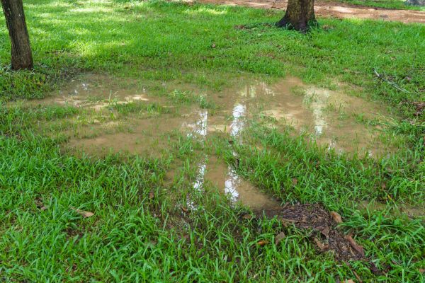 Storm Water Drainage Service in Nampa