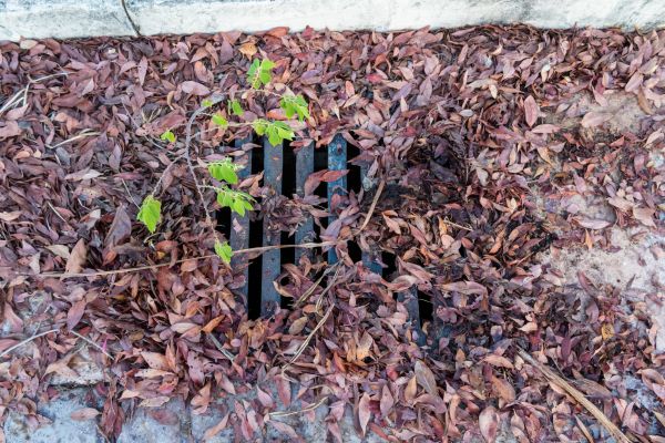 Yard Drain Unclogging in Nampa