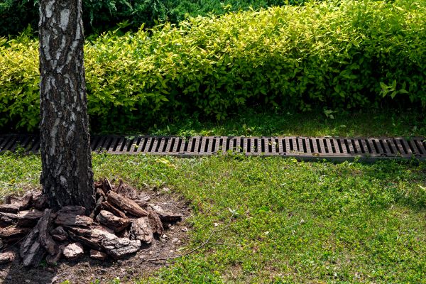 Garden Drainage Installation in Nampa