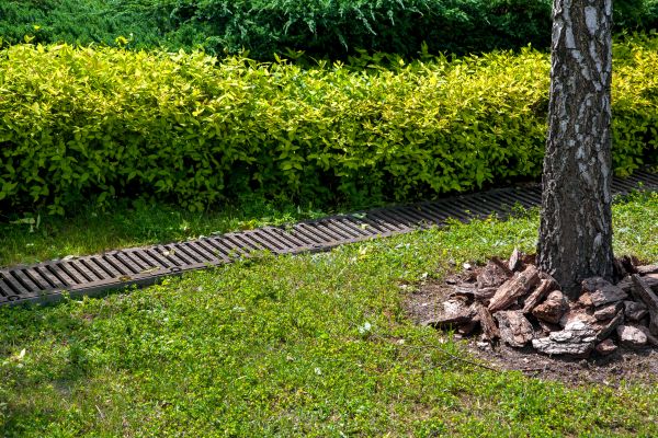 Residential Landscape Drainage in Nampa