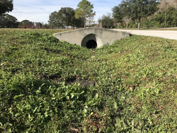 Cost of Swale Drainage Service in Nampa